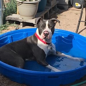 Meet your Posher, Erik